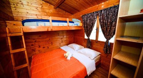 Seaside secluded apartments Biograd na Moru, Biograd - 12827