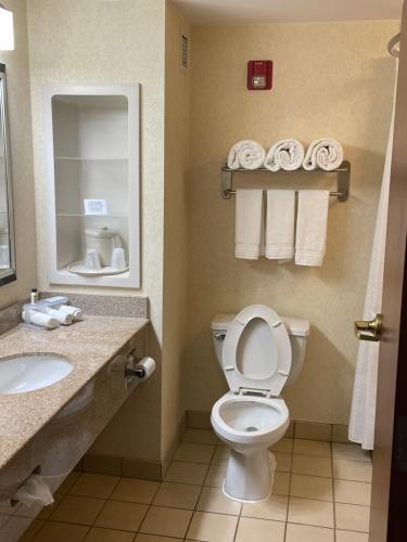 a bathroom with a toilet and a sink and towels at White Pine Lodge in Salamanca