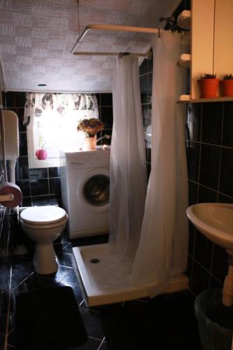 Apartments with WiFi Pula - 12944