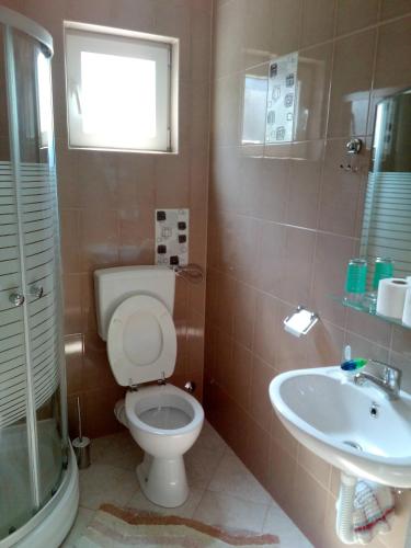 a bathroom with a toilet and a sink at Apartments with a parking space Starigrad, Paklenica - 12992 in Starigrad