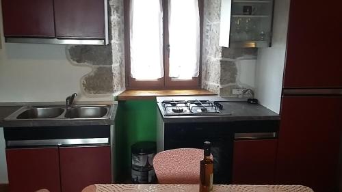 Η κουζίνα ή μικρή κουζίνα στο Family friendly apartments with a swimming pool Veli Mlun, Central Istria - Sredisnja Istra - 13099