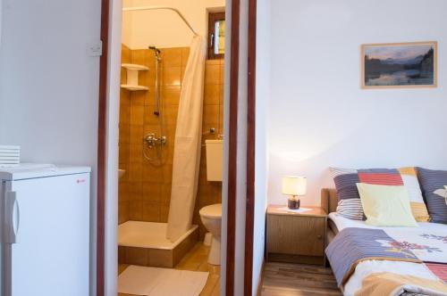 een badkamer met een bed, een douche en een toilet bij Apartments with a parking space Novi Vinodolski - 13159 in Novi Vinodolski