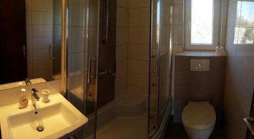 a bathroom with a shower and a sink and a toilet at Apartments with a parking space Liznjan, Medulin - 13164 in Ližnjan