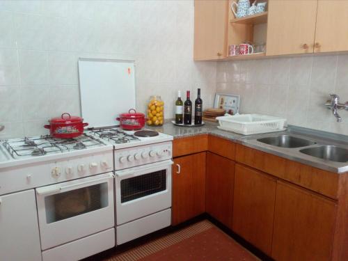 a kitchen with a stove and a sink at Apartments by the sea Broce, Peljesac - 13182 in Ston