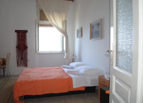 Apartments by the sea Zadar - 13291