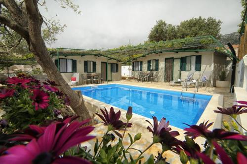 Fotografia z galérie ubytovania Family friendly apartments with a swimming pool Bol, Brac - 13364 v Boli