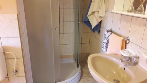 a bathroom with a shower and a sink and a toilet at Apartments with a parking space Fazana - 13359 in Fažana