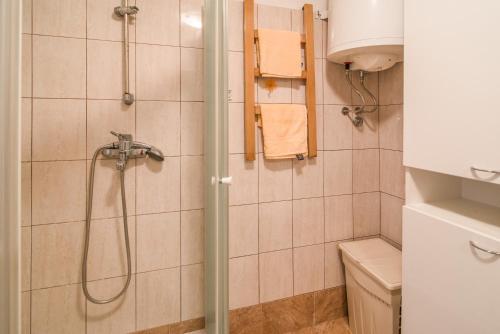 a bathroom with a shower and a toilet at Apartments with a parking space Malinska (Krk) - 13219 in Malinska