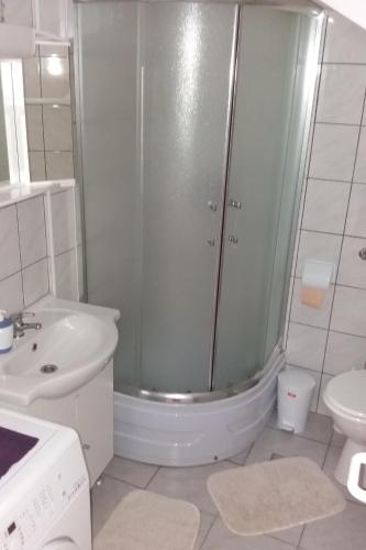 a bathroom with a shower and a toilet and a sink at Apartments with WiFi Vis - 13442 in Vis
