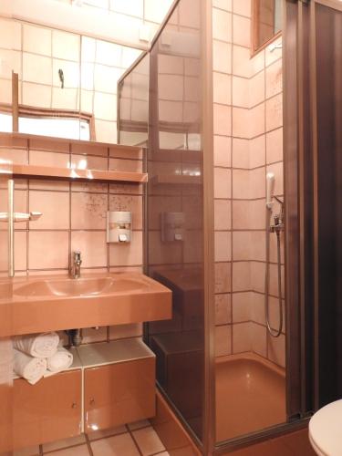 a bathroom with a sink and a shower at Apartments by the sea Brna, Korcula - 13492 in Smokvica