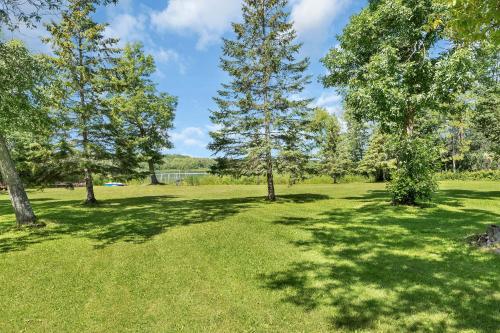 a park with trees in the grass at Blue Moon Resort & Motel in Hill City