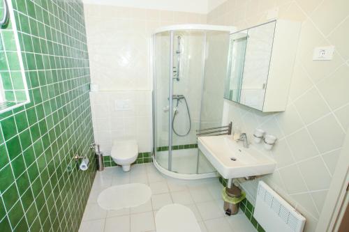 Luxury villa with a parking space Buici, Porec - 13529
