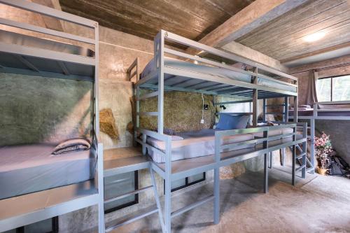Postel nebo postele na pokoji v ubytování Deishaview Jungle Hostel