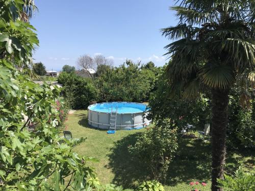 a swimming pool in a yard with a palm tree at Apartments with a swimming pool Kastav, Opatija - 13638 in Kastav