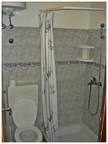 a bathroom with a toilet and a shower at Apartments by the sea Lumbarda, Korcula - 12839 in Lumbarda