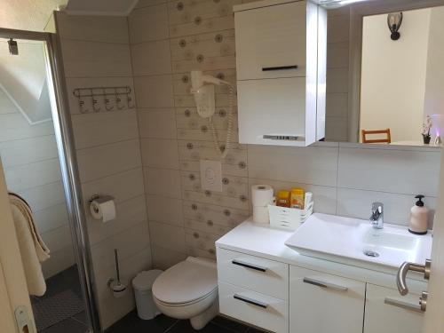une salle de bain avec toilettes, lavabo et douche dans l'établissement Apartments and rooms with parking space Seliste Dreznicko, Plitvice - 14671, à Rakovica