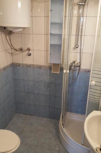 a bathroom with a shower and a toilet and a sink at Apartments with a parking space Viskovici, Rasa - 14691 in Koromačno
