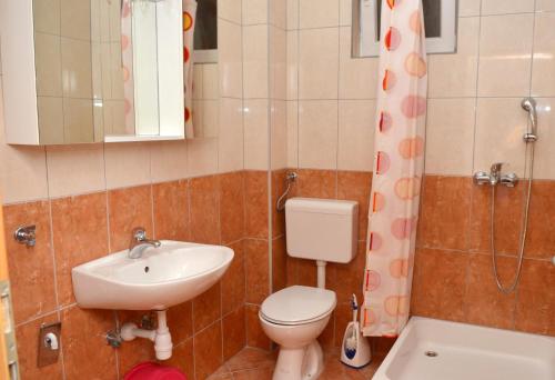 een badkamer met een toilet, een wastafel en een douche bij Apartment Gradac 13681d in Gradac