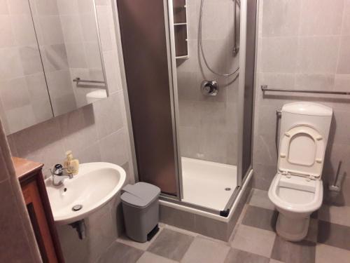 een badkamer met een douche, een toilet en een wastafel bij Apartments by the sea Kozino, Zadar - 14723 in Petrcane