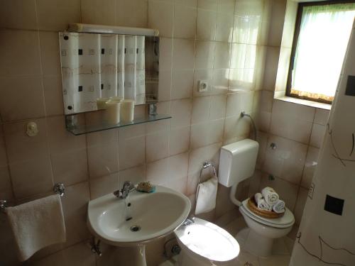 ein Badezimmer mit einem Waschbecken, einem WC und einem Spiegel in der Unterkunft Apartment Pasman 14788c in Mali Pašman