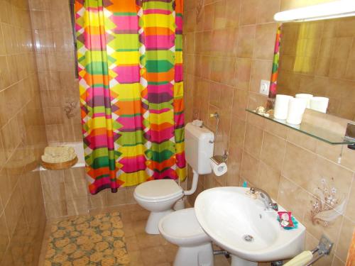 ein Badezimmer mit einem WC, einem Waschbecken und einem Duschvorhang in der Unterkunft Apartment Pasman 14788b in Mali Pašman