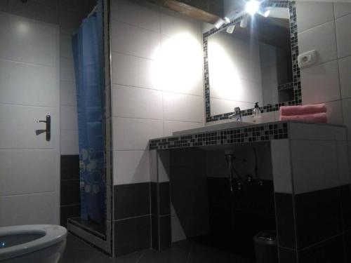 a bathroom with a sink and a mirror and a toilet at Family friendly apartments with a swimming pool Tribalj, Crikvenica - 14789 in Tribalj