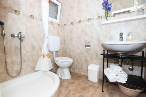 a bathroom with a sink and a toilet and a shower at Apartment Zuljana 12058b in Žuljana