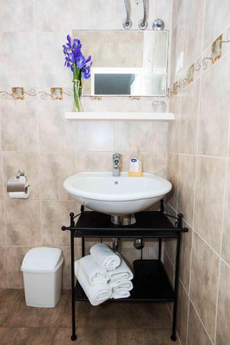 a bathroom with a sink and a mirror and towels at Apartment Zuljana 12058b in Žuljana