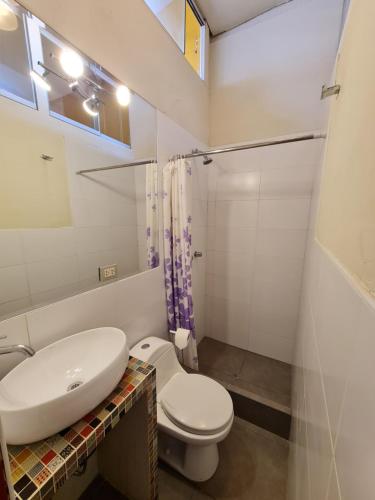 La salle de bains est pourvue de toilettes blanches et d'un lavabo. dans l'établissement Flying Dog Hostel, à Lima