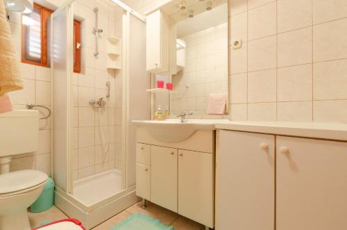 ein Bad mit einem Waschbecken, einem WC und einer Dusche in der Unterkunft Seaside holiday house Karbuni, Korcula - 14889 in Prizba