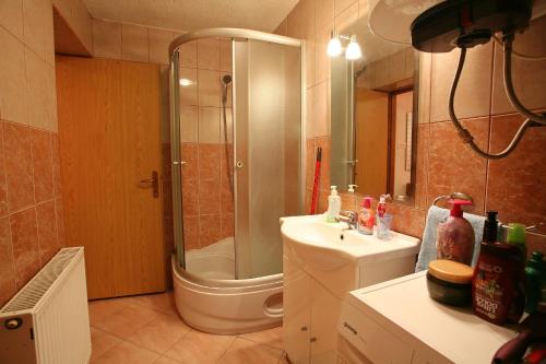 a bathroom with a shower and a toilet and a sink at Apartments with a parking space Delnice, Gorski kotar - 14895 in Delnice