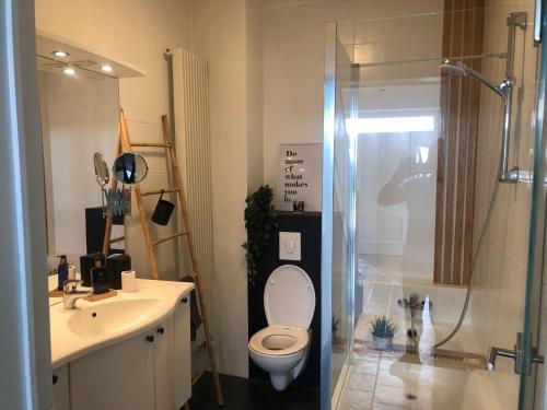 La salle de bains est pourvue de toilettes, d'un lavabo et d'une douche. dans l'établissement La villa Bastogne chambre d'hôtes 2, à Bastogne