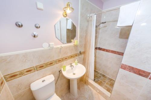 un bagno con wc, lavandino e doccia di Apartments with parking space Zaton, Zadar - 15000 a Zaton