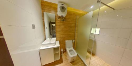 a bathroom with a toilet and a sink and a mirror at CENTURION APARTMENTS JABI ANNEX in Abuja