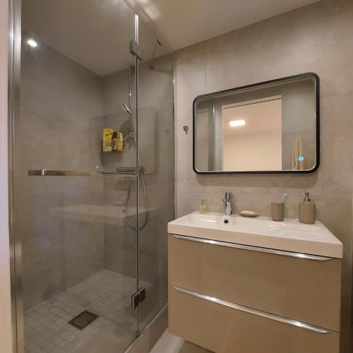 une salle de bain avec une douche, un lavabo et un miroir dans l'établissement Appartement cosy vue mer, à Magagnosc