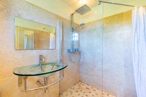 La salle de bains est pourvue d'un lavabo en verre et d'une douche. dans l'établissement Le Gite du Chevreuil, 200 Mètres de BEAUVAL, à Saint-Aignan