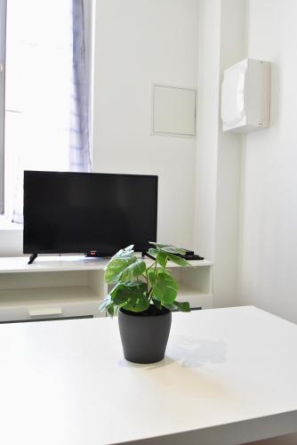 une plante assise sur une table devant une télévision dans l'établissement T2 Grand Espace calme et confort, à Bergerac
