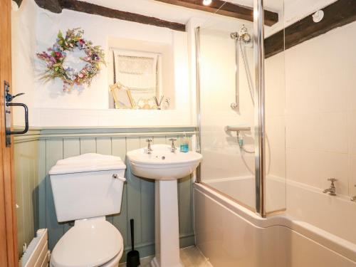 a bathroom with a toilet and a sink and a shower at Jacky Garth Cottage in Keswick