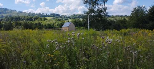 un granero en un campo de hierba con flores en Dom Wśród Gwiazd, en Jarnołtówek