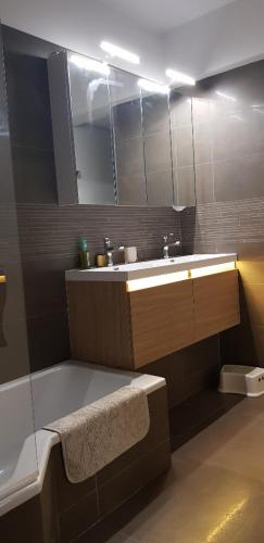 une salle de bain avec un lavabo et un miroir dans l'établissement 4P, Piscine, Tennis, Wifi, Proche Centre et Plages, à Antibes