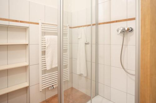 La salle de bains est pourvue d'une douche avec une porte en verre. dans l'établissement Ferienwohnung "Strandkorb", à Hinrichsdorf