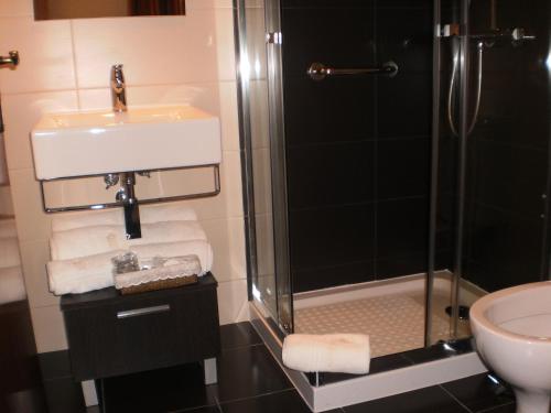 uma casa de banho com um chuveiro, um lavatório e um WC. em Hotel Santa Apolonia em Bragança