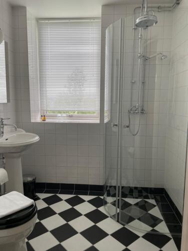 a bathroom with a shower and a toilet and a sink at Norrfly Herrgård in Kilafors