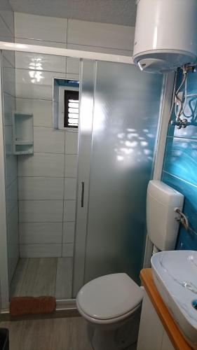 a bathroom with a shower and a toilet and a sink at Ugodna atmosfera privatnosti, more u blizini. in Vela Luka