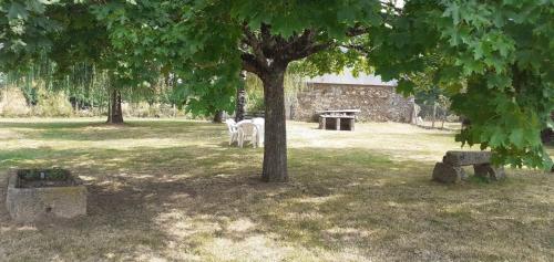 einen Tisch und Stühle unter einem Baum auf einem Feld in der Unterkunft Maison pittoresque et cozy in Bonnat