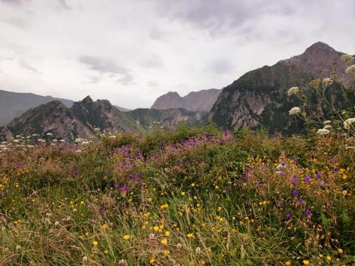 Gallery image of Chalet Pkhelshe in Stepantsminda