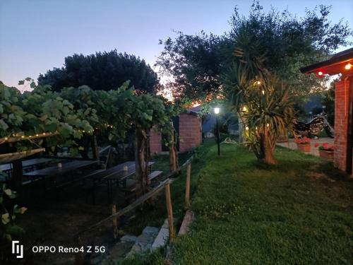 un giardino di notte con un grappolo d'uva di Il Rifugio Longobardia Minorae a Monteforte Cilento