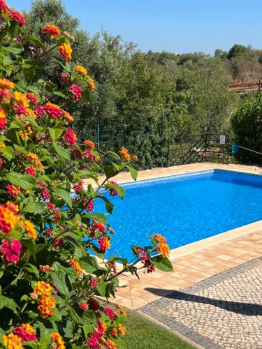 a swimming pool with flowers in front of it at Villa Tranberg Suites in Ferreiras