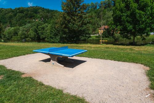 a blue ping pong table in the middle of a field at Penzion Rechle in Český Krumlov