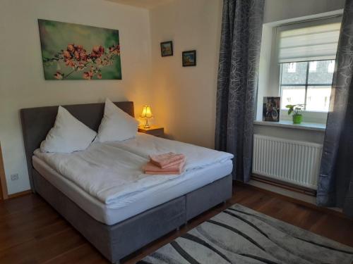 Кровать или кровати в номере Haus Rauschenbach